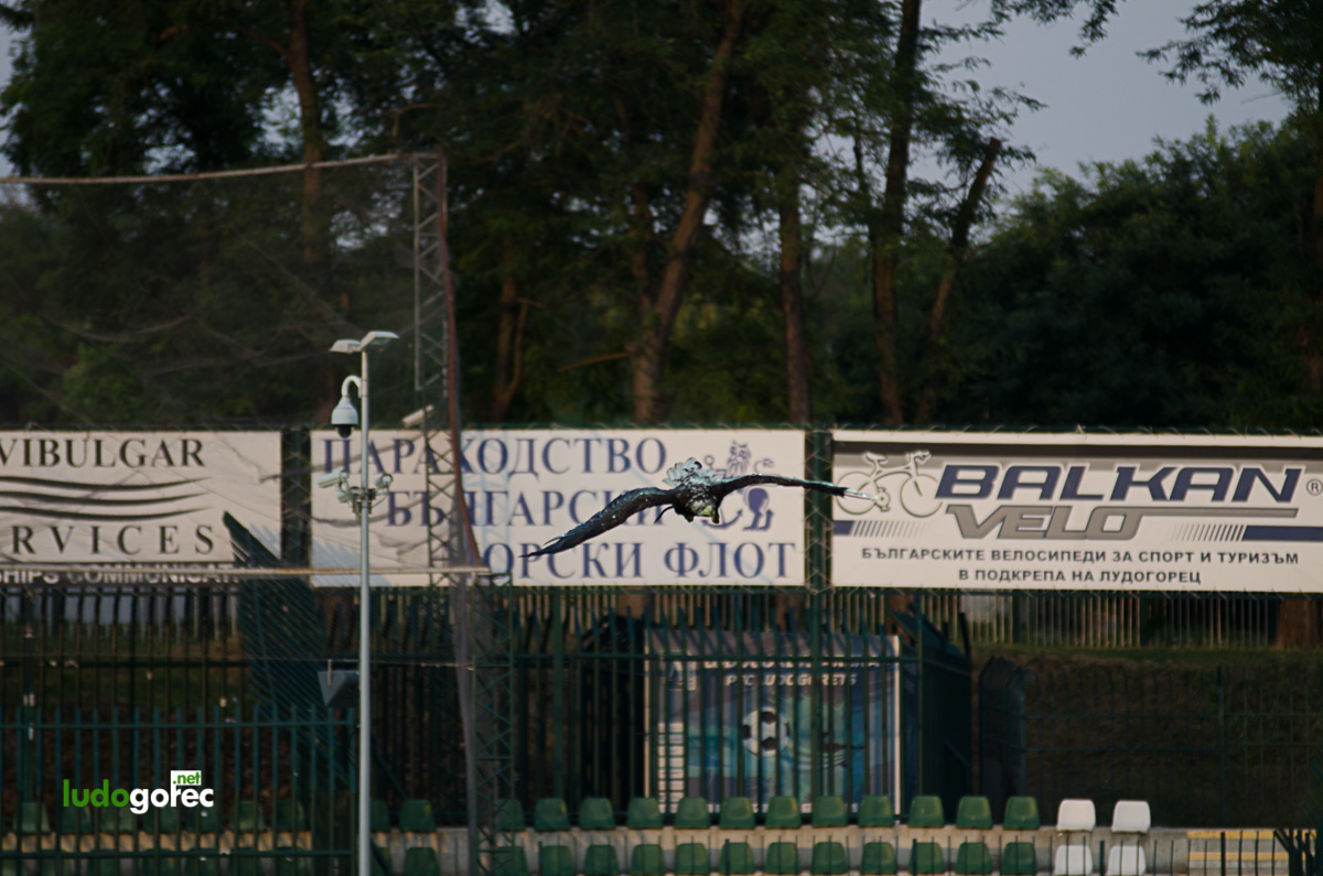 Лудогорец - Марек 3:0