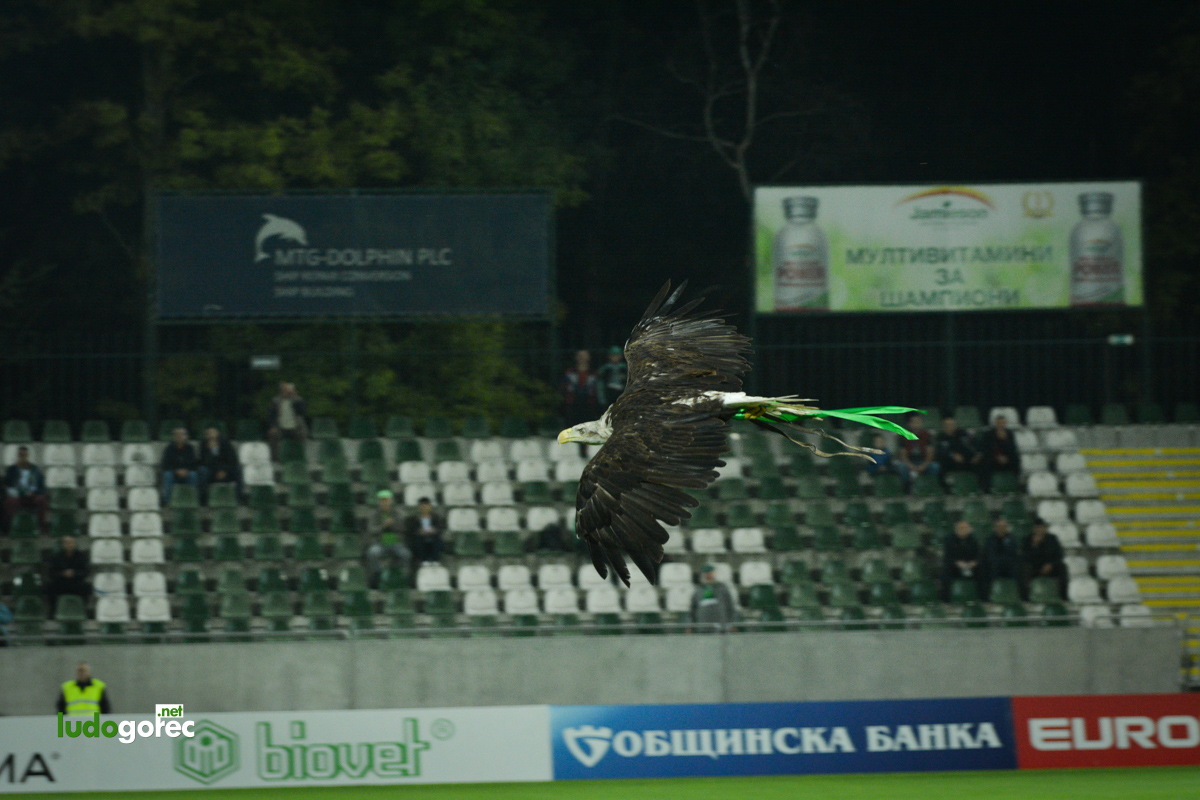 Лудогорец - Черно море 1:1